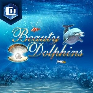 Dolphins Lotto